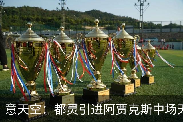 意天空：都灵引进阿贾克斯中场天乐的转会费是250万欧
